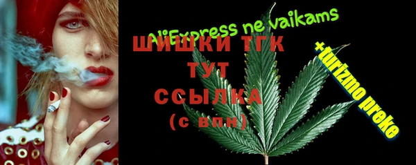 спайс Тавда