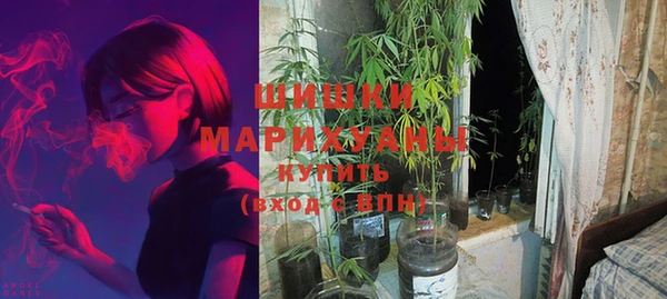 спайс Тавда