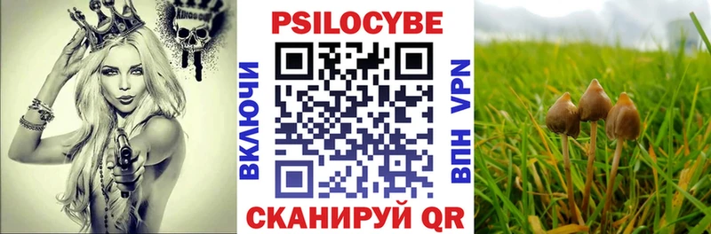 Псилоцибиновые грибы Magic Shrooms  Купить  Кочубеевское 